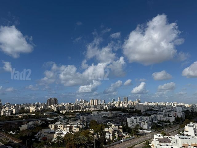 רימון 