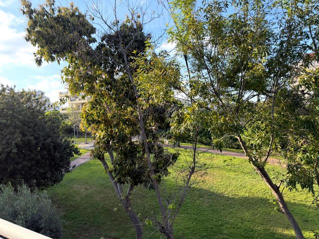 קרית הפרחים - 2005