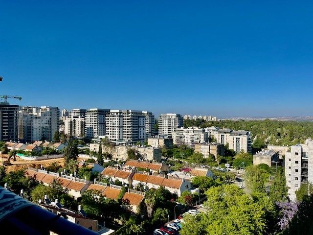 החבצלת 