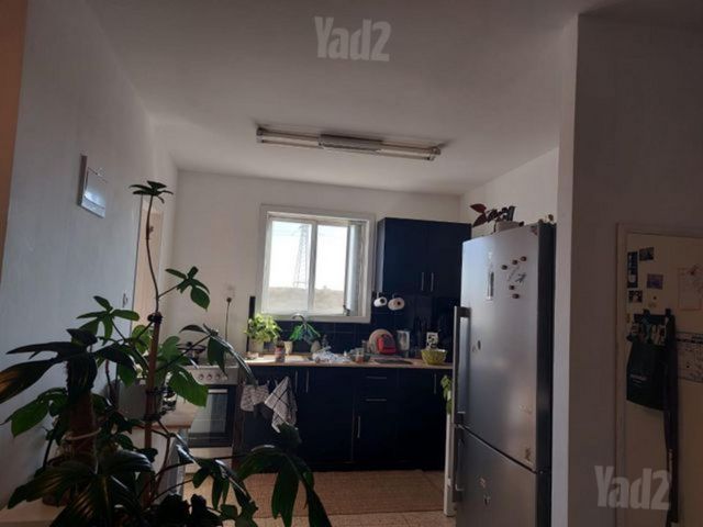 הברבור 11