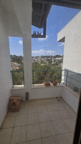 הרקפת 56