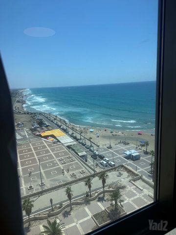 דוד אלעזר 10