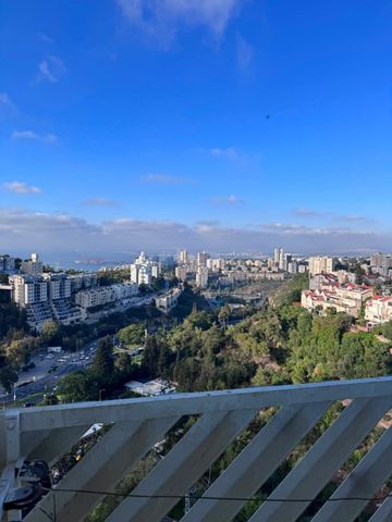 אורן 29