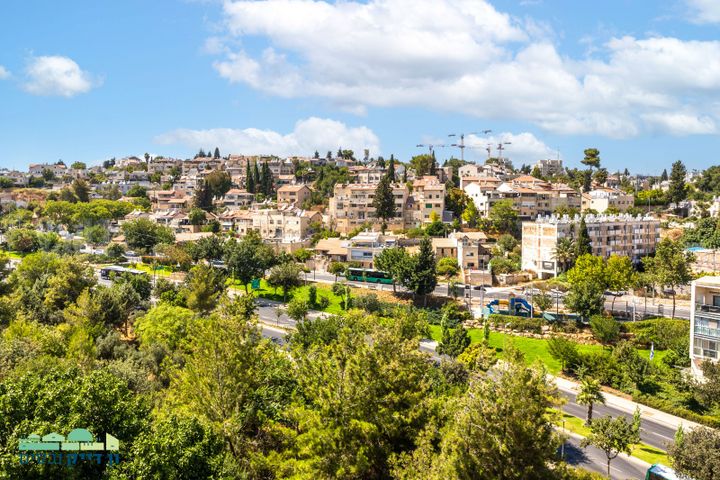 אריה דולצ'ין 