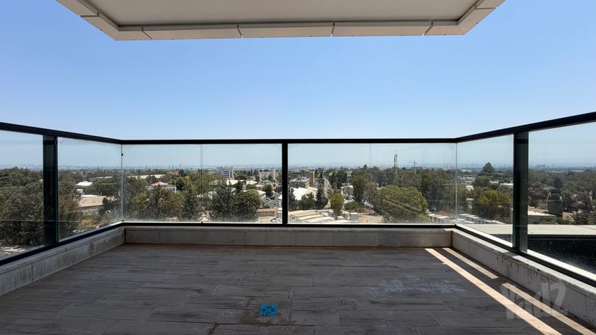 אסתר ארדיטי 
