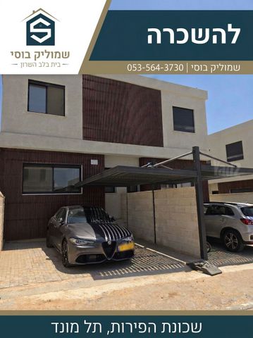 התפוח 