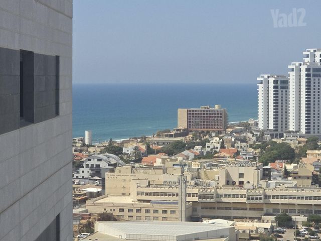 הרב הרצוג 8