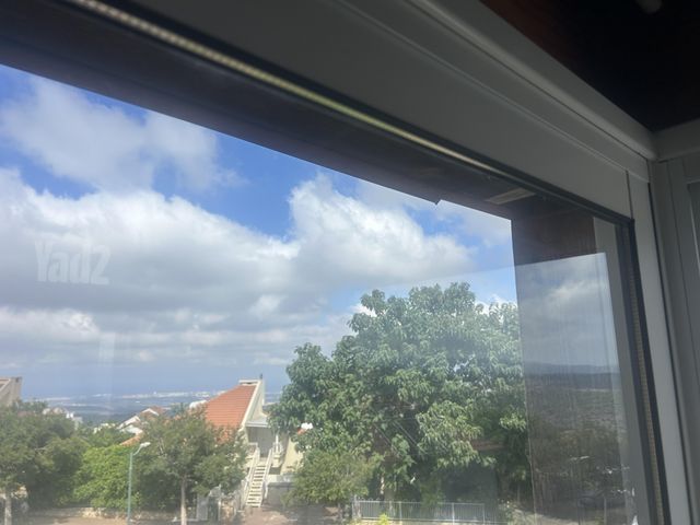 הברוש 358