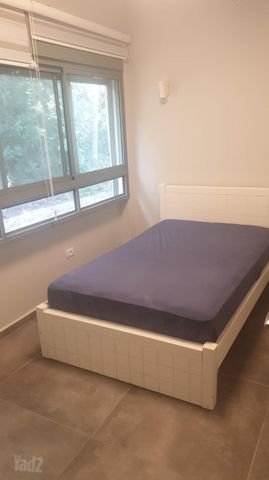 החשמונאים 14