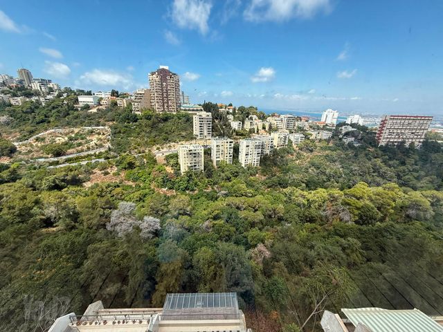 זאב שוהם 43