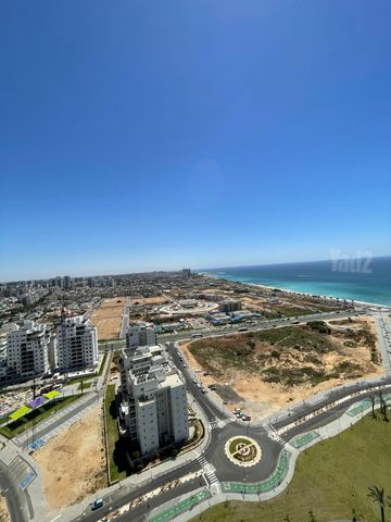 הקונכייה 1