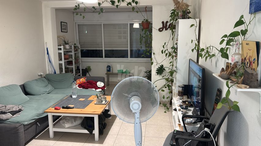 אינטרנשיונל 50
