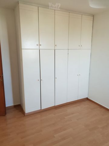 שמעון בן צבי 31