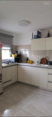 אהרון מסקין 50
