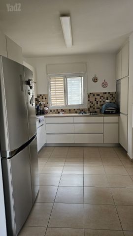 הארזים 80
