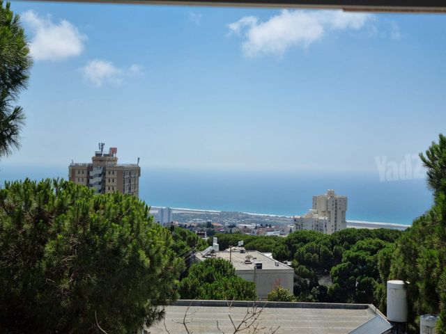גבעת דאונס 4
