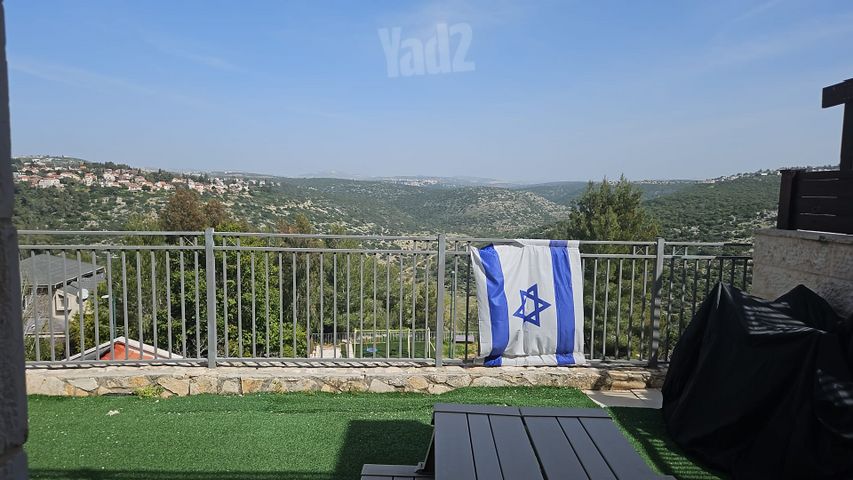 הברוש 24