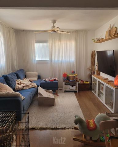 שבטי ישראל 22