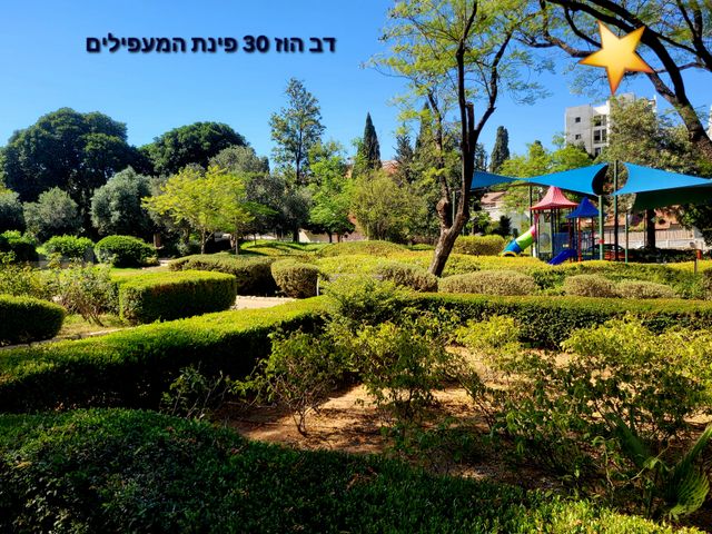 גג/ פנטהאוז, למפרט, כפר סבא