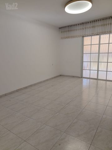 יהושע חנקין 