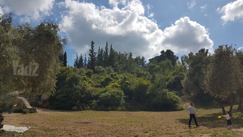 הדרור 