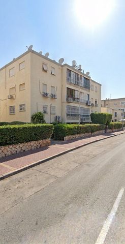 הנרקיסים 