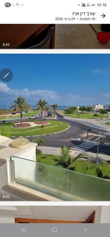 ענבר 8