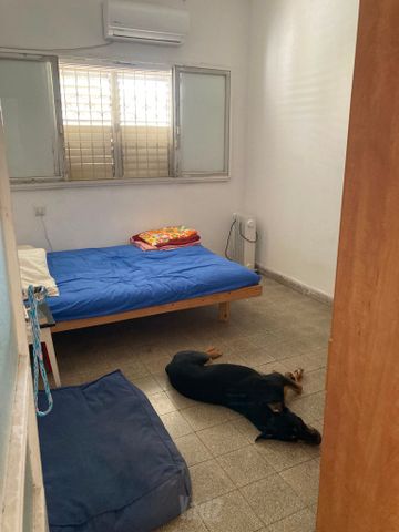 דירה להשכרה בתל אביב יפו (תיווך) — 5