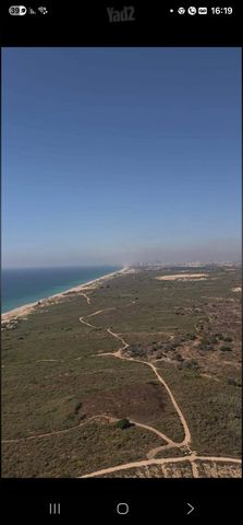 דירה, אשקלון