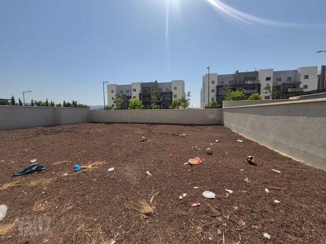דרך ארץ 
