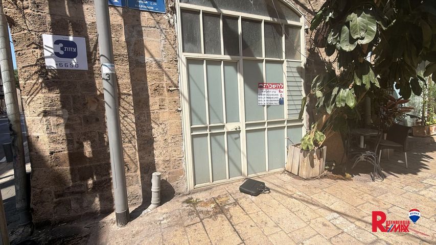 הפנינים 1