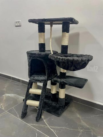 תמונת מודעה - חיות מחמד