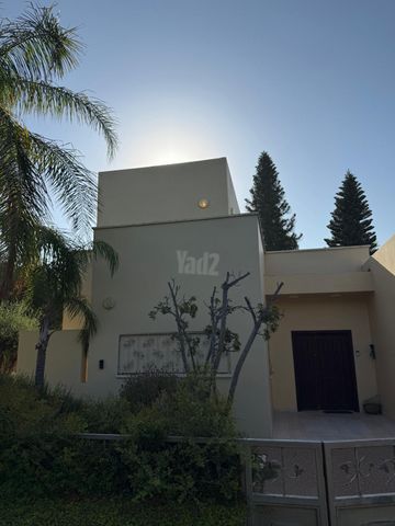 הכוכבים 20