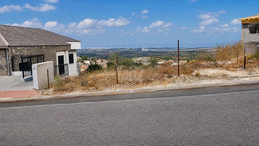 רימון 251