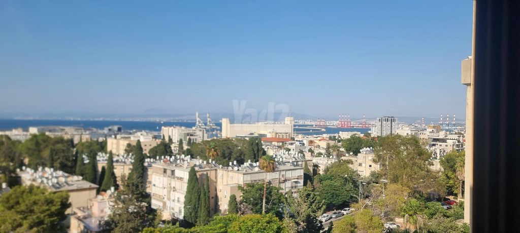 הגפן 54