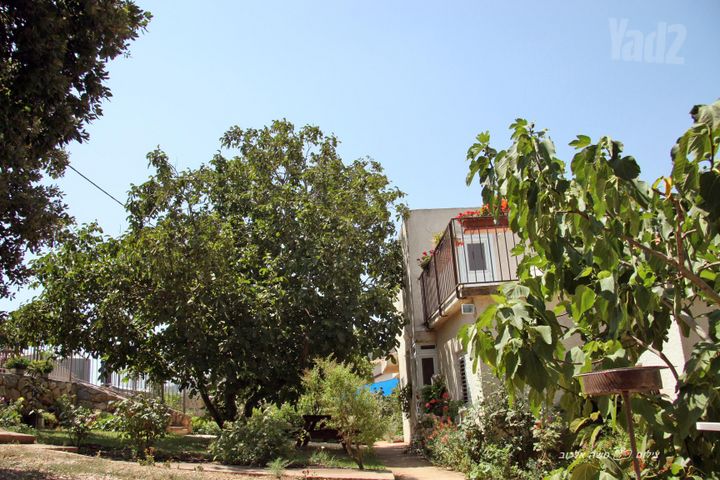 מרגליות 1