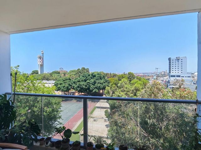 ז'בוטינסקי 15