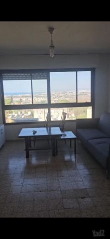 חבצלת 11