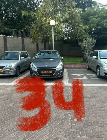 דוד רמז 37