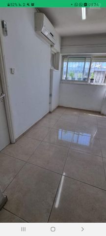 הנורית 23