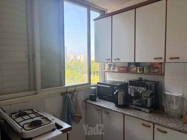 מוריץ דניאל 24