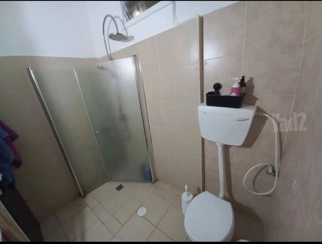 יהודה הלוי 1