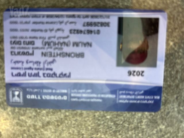 יהודה בורלא 