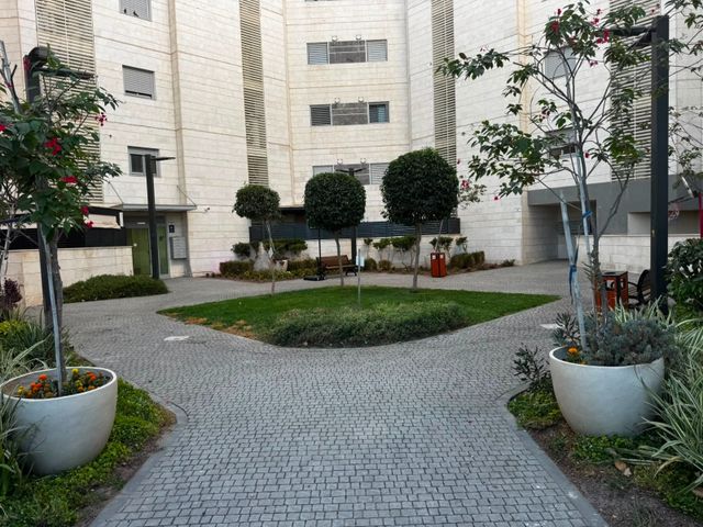 אשכולית