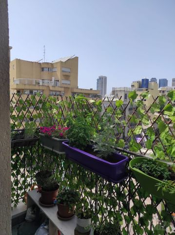 פלורנטין 