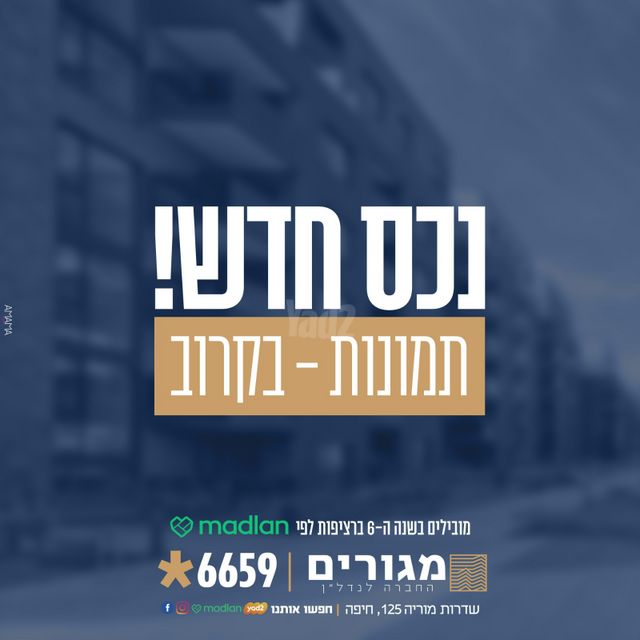 פינסקר 