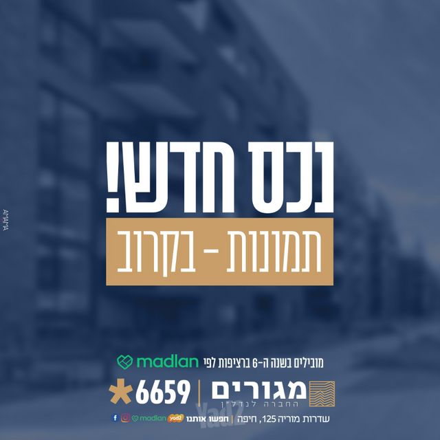 התורן 