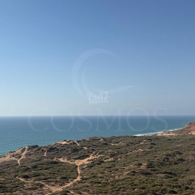 נתן יונתן 24