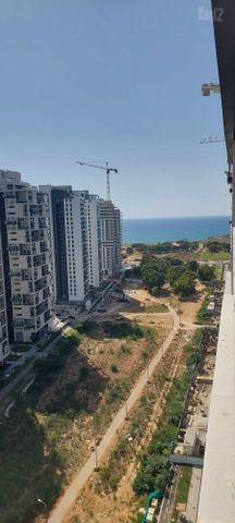 דרום חדש, פארק הים