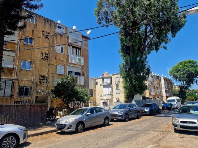 התורן 24